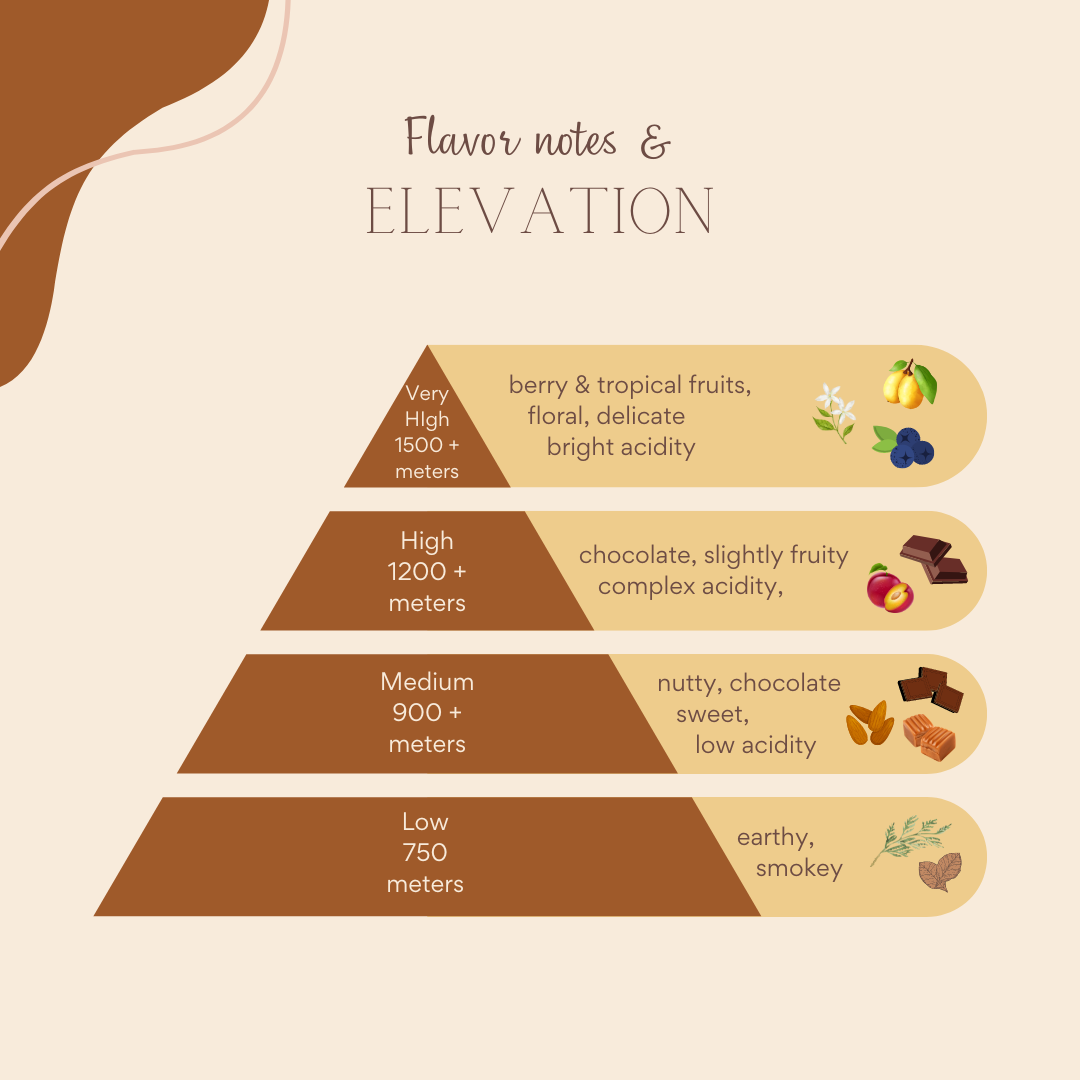 Origins, flavor notes and elevation