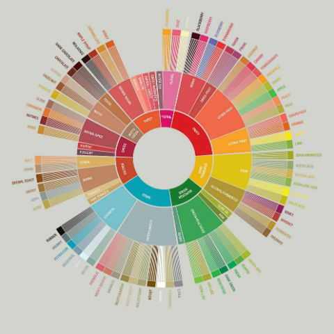 Specialty Coffee Flavor Wheel