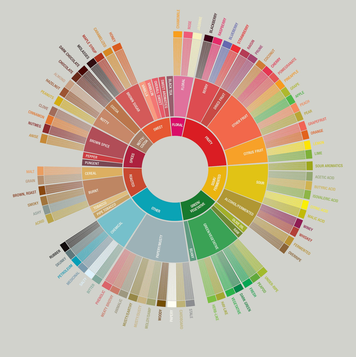 Specialty Coffee Association Flavor Wheel