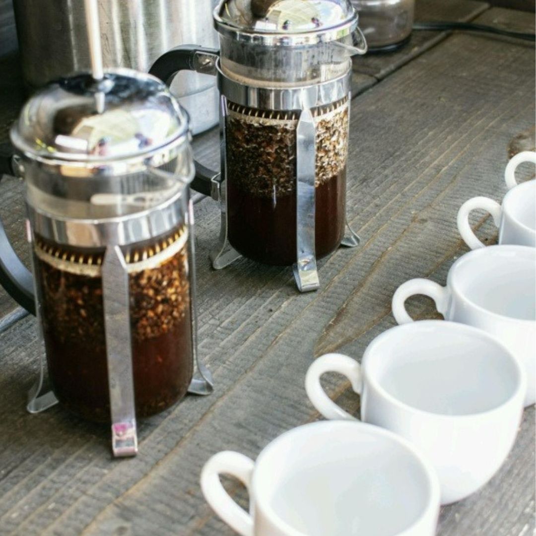 Two French Press coffee brewers with coffee mugs