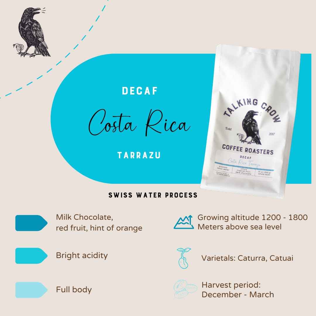 Decaf Costa Rica La Pastora Tarrazu – Talking Crow Coffee Roasters
